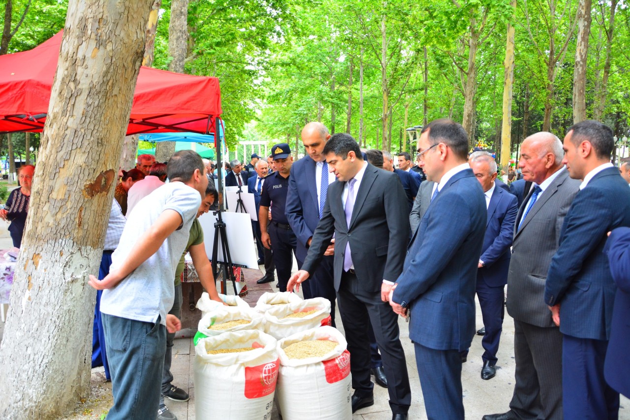 Ağstafada Məhsul bayramı keçirilib - FOTOLAR